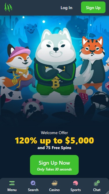 Wild.io No KYC Casinos in Canada 2026